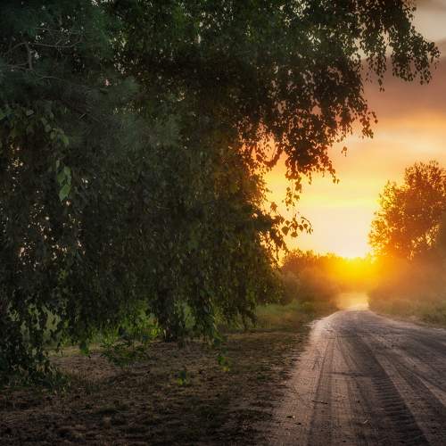 Photo #8007477