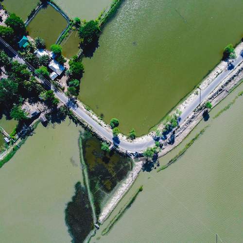 Photo #8007550