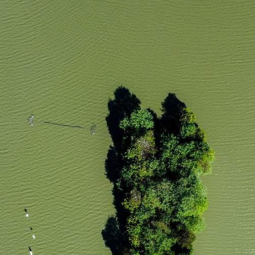 Photo #8007551