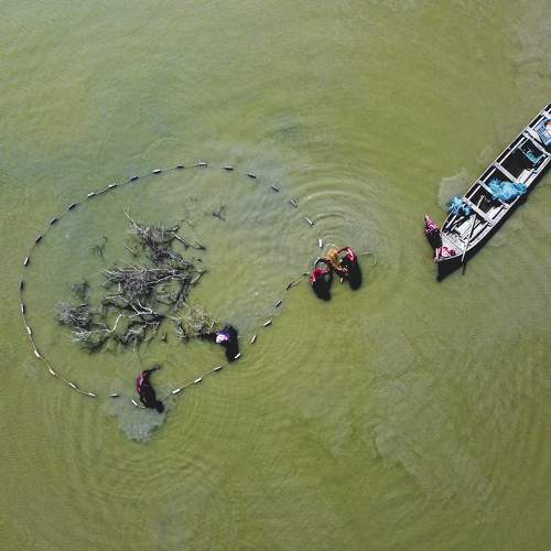 Photo #8007552