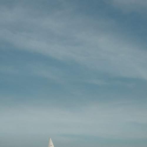 Photo #8007575