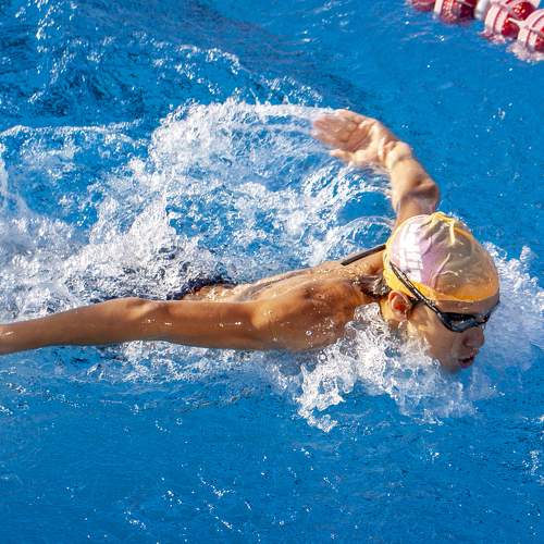 Photo #8007638