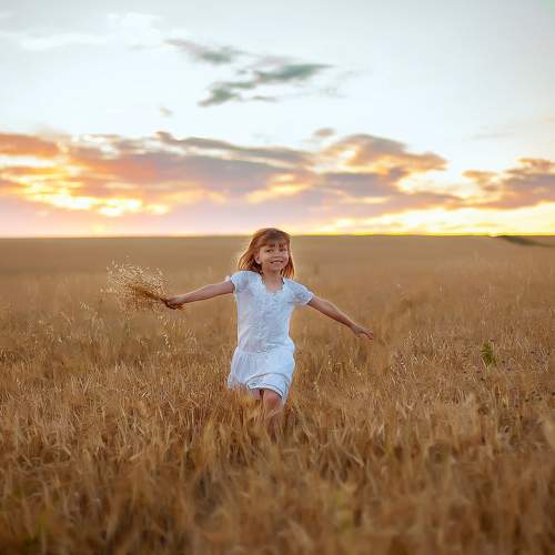 Photo #8007815