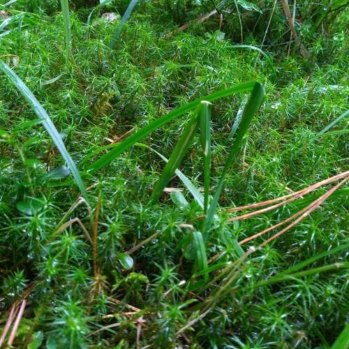 Photo #8007938