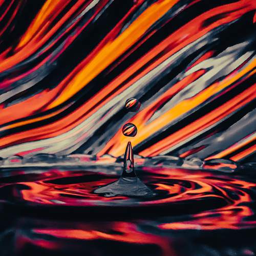 Photo #8008259
