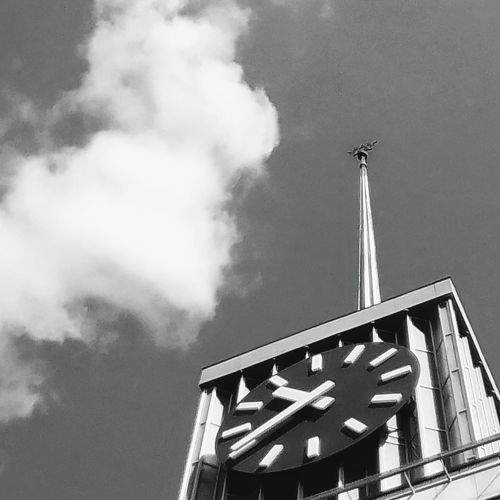 Photo #8009050