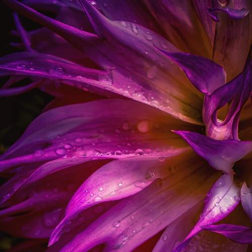 Photo #8009116