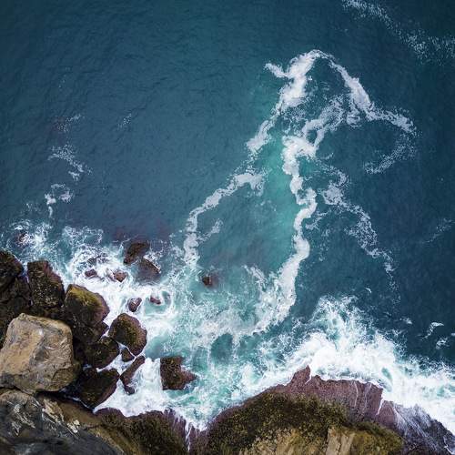 Photo #8009967