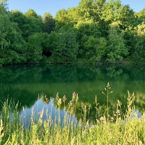 Photo #8010235
