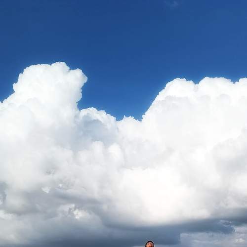 Photo #8010332