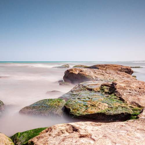 Photo #8010551