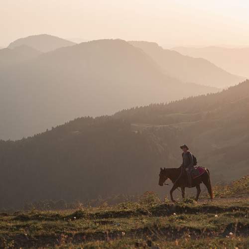 Photo #8010564