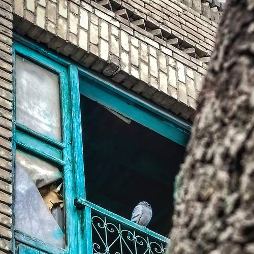 Photo #8010574