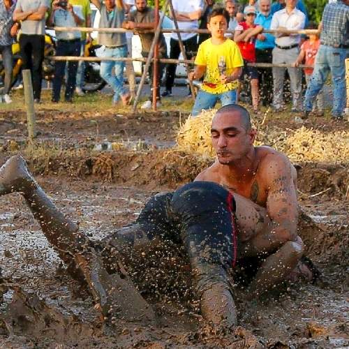 Фотография #8010852