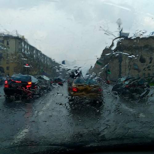 Photo #8010900