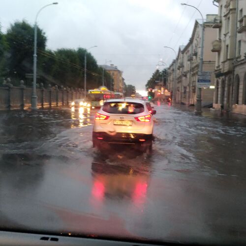Photo #8010909