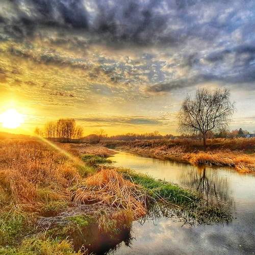 Photo #8011340