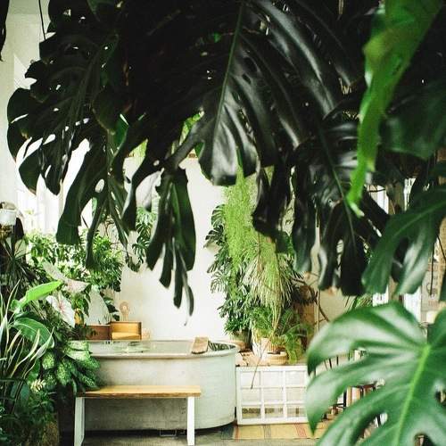Photo #8011481