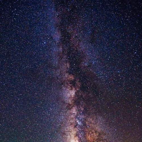 Photo #8011576
