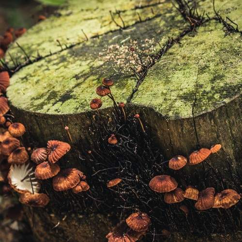 Photo #8011613