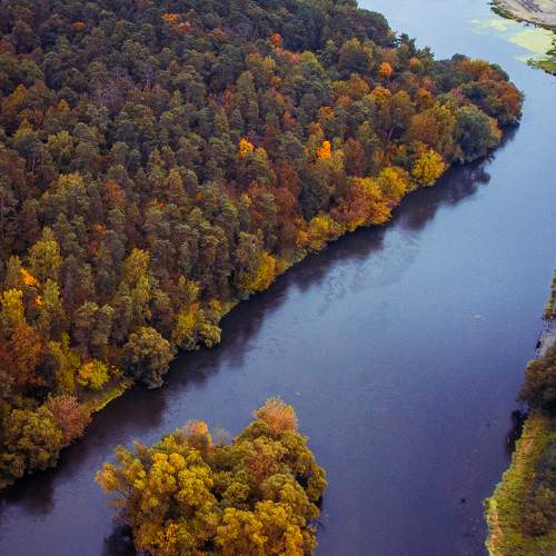 Photo #8011651
