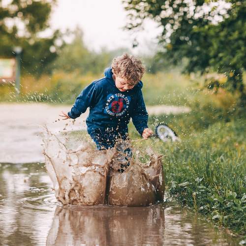 Photo #8011833