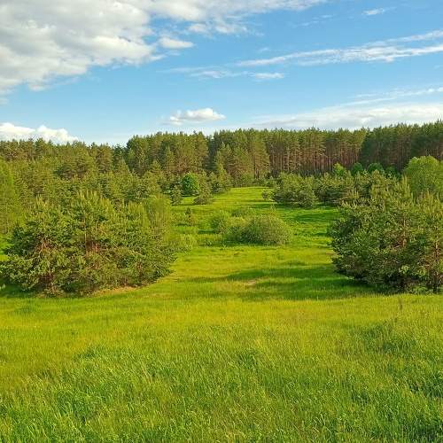 Photo #8012367