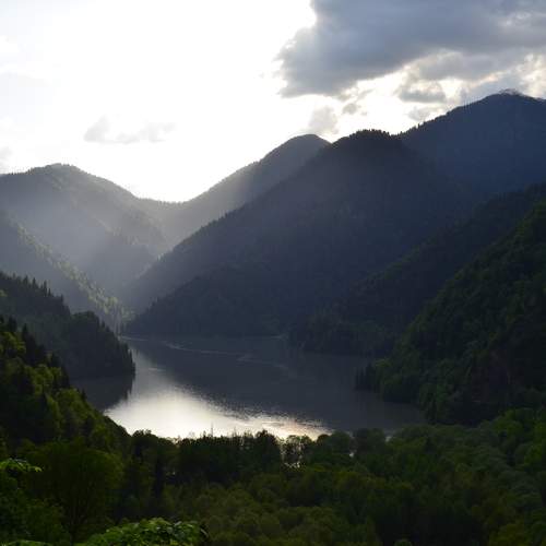Photo #8012625