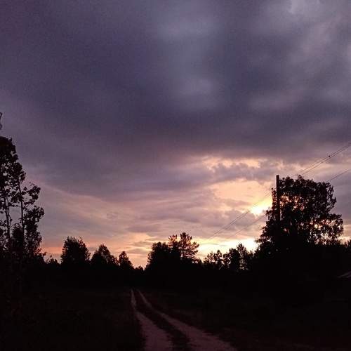 Photo #8012692