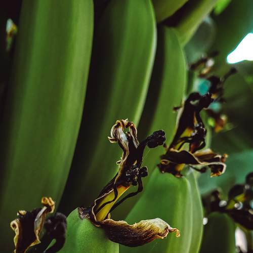 Photo #8012912