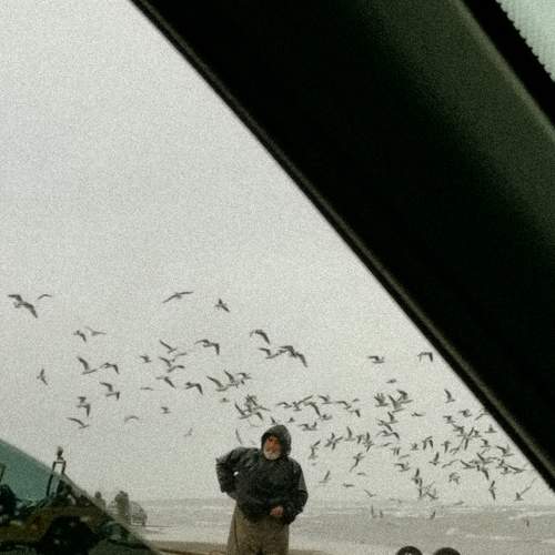Photo #8013085