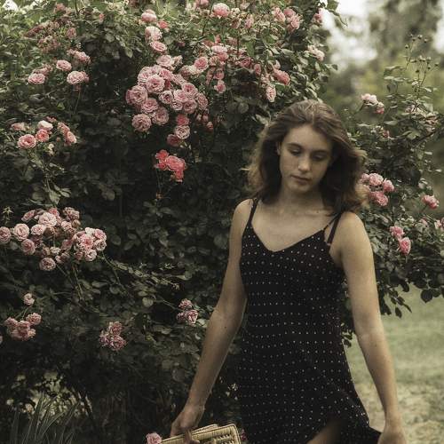 Photo #8014473