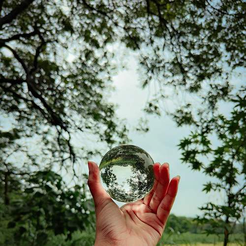 Photo #8014724