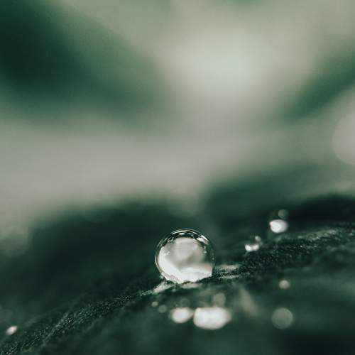 Photo #8014729