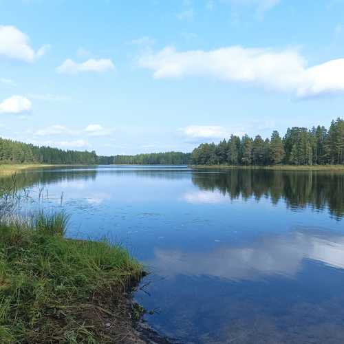 Photo #8014955