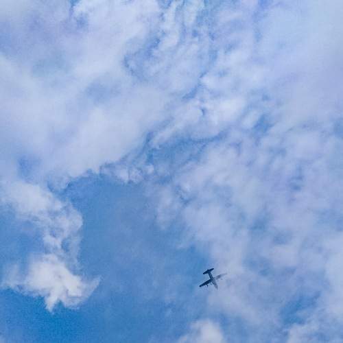 Photo #8015281