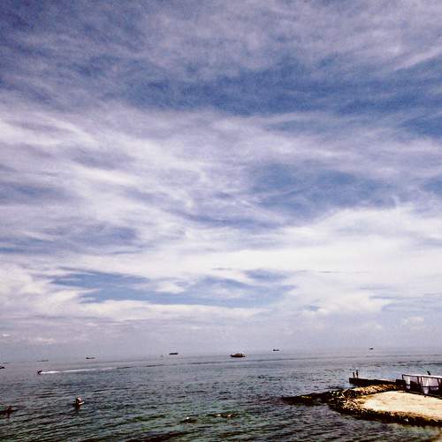 Photo #8015565