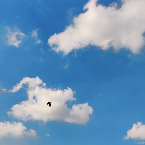 Photo #8016713