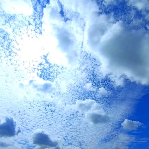 Photo #8016746