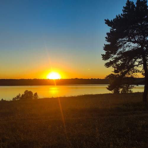 Photo #8016798