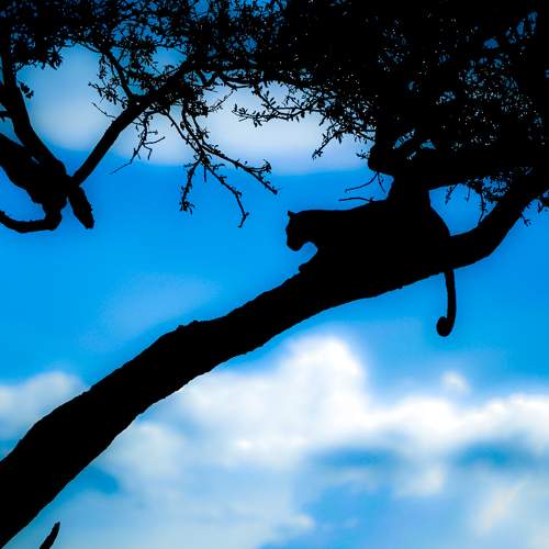 Photo #8017026