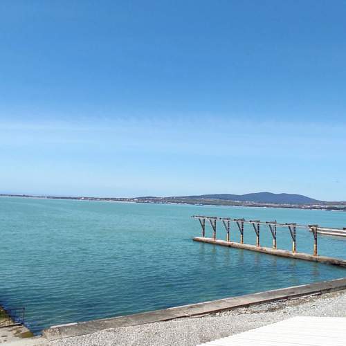 Photo #8017227