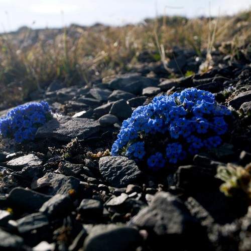 Photo #8017679
