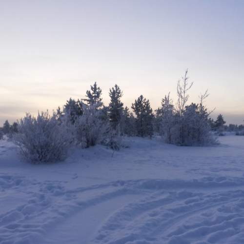 Photo #8017852