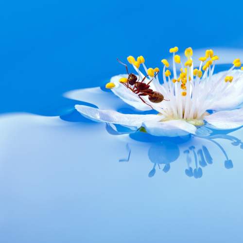 Springtime