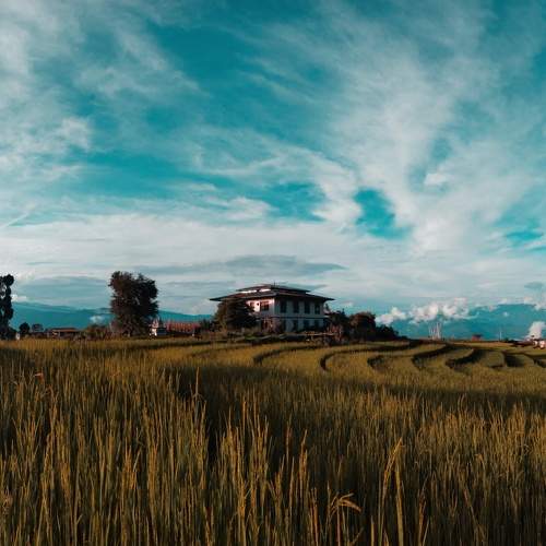 Serene Bhutan.