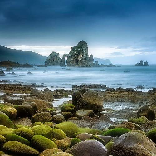 Фотография #8018287