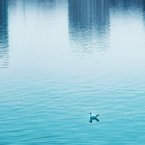 Photo #8018371