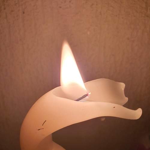Photo #8018449