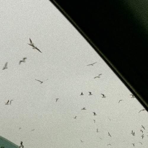 Freedom